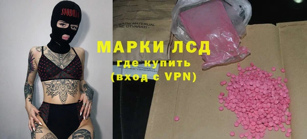 прущие грибы Алзамай