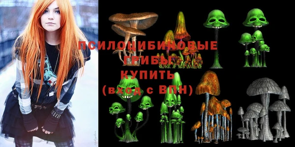 прущие грибы Алзамай