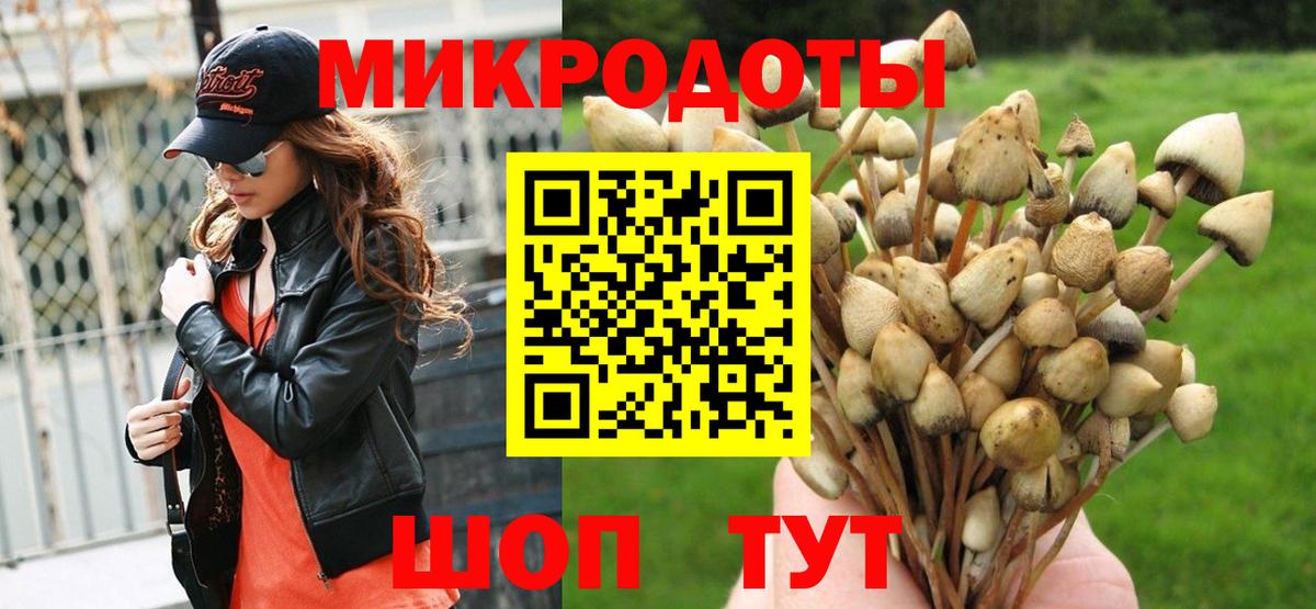 Псилоцибиновые грибы Magic Shrooms Алексеевка