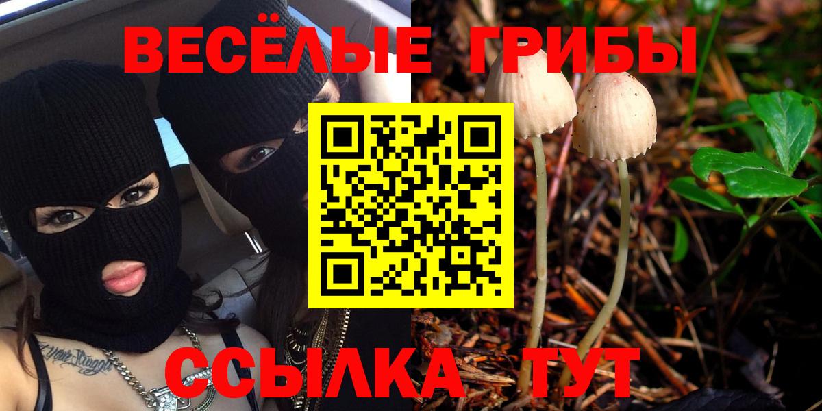 Алексеевка  Псилоцибиновые грибы прущие грибы  Галлюциногенные грибы GOLDEN TEACHER  Вход с VPN 